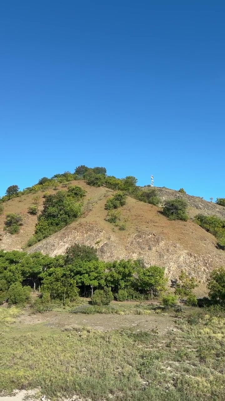 Collina Panoramica con Alberi Verdi e Torre di Comunicazione in una Giornata di Sole