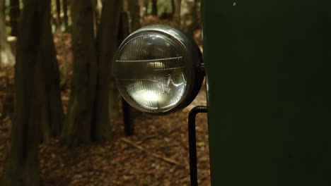 in hungary, traveling on a very old forest railway in the nagyborzsony forest