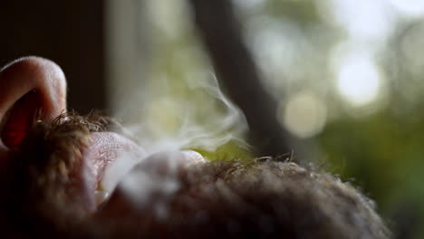 serious and relaxed man blowing smoke, smoking joint