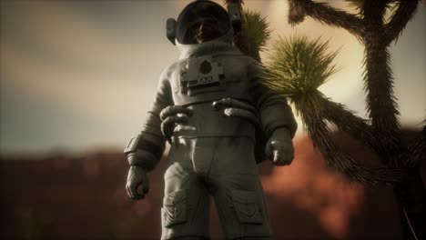 astronauta en el alto desierto de nevada