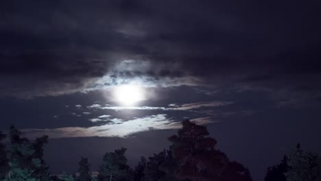 full moon moves in the night sky through trees and dark clouds. timelapse