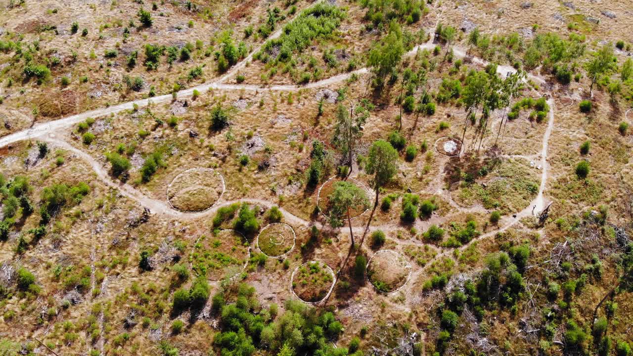 vista aérea de los antiguos círculos de piedra en un sitio arqueológico en el parque nacional bory tucholskie, cerca del pueblo de lesno en polonia - disparo de drones