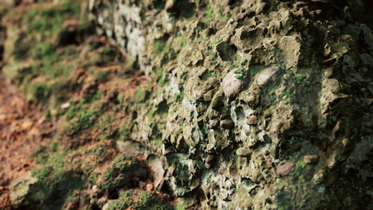 cerca de la formación de piedras rocosas
