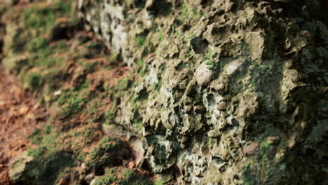 cerca de la formación de piedras rocosas