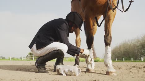 african american man preparing his dressage horse