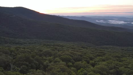 Panorámica-Aérea-De-Las-Copas-De-Los-árboles-Debajo-De-La-Montaña-Del-Abuelo-Nc-Al-Amanecer