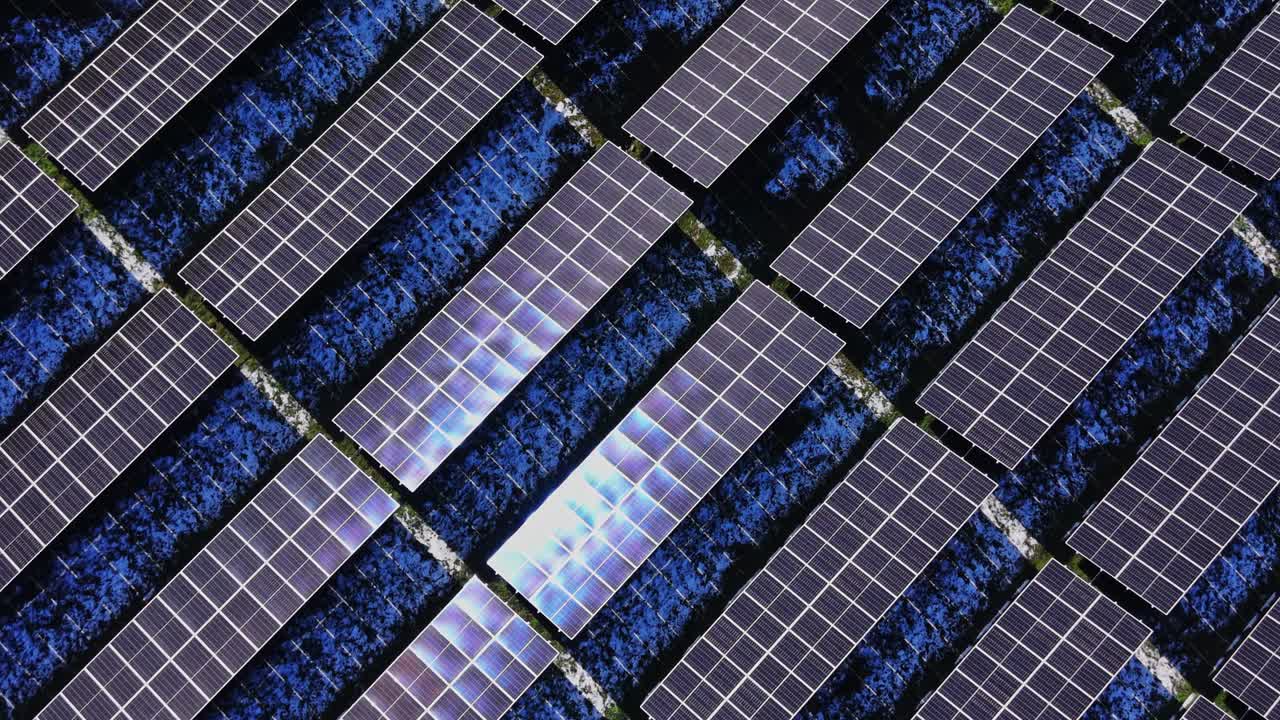 Pannelli solari coprono il terreno di giorno in un progetto di energia pulita.