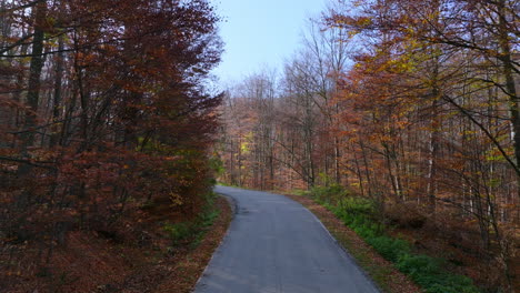 winding road through an autumn forest
