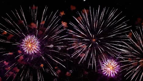 Colorful fireworks exploding in the night sky. Celebrations and events in bright colors.