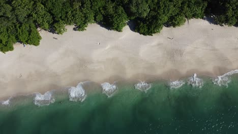 aerial view of a white sandy beach with crystal clear waters in costa rica, conchal beach