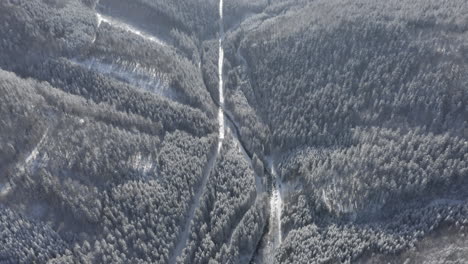 Toma-Aérea-Del-Valle-Del-Bosque-Cubierto-De-Nieve,-Destino-Del-País-De-Las-Maravillas-Del-Invierno-Iluminado-Por-El-Sol