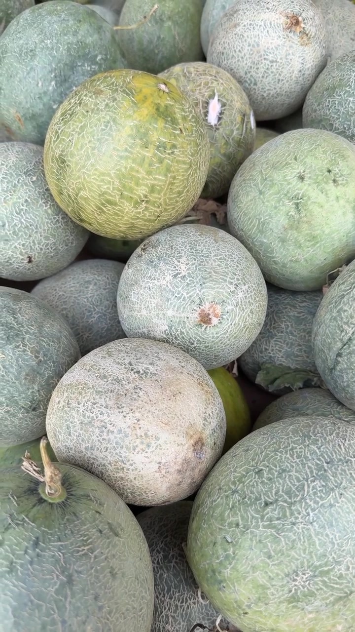 Fresh Cantaloupe Melons Stacked in a Market Display