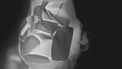 broken mannequin head shells in xray