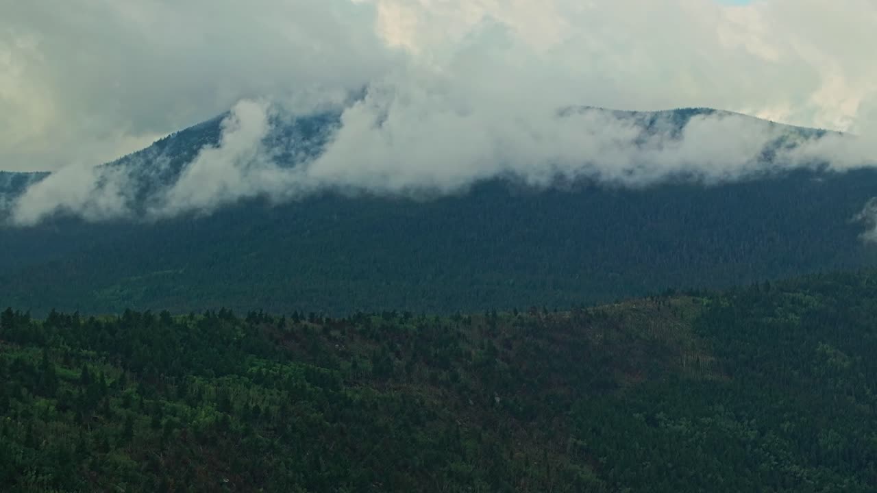 Establishing drone ascend over rainy evergreen forest near Allenspark Colorado with distant misty mountains backdrop