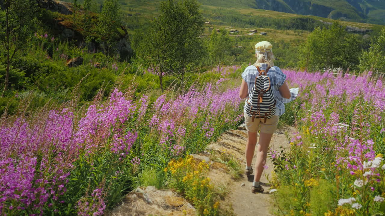 배낭을 메고 있는 한 여성이 여름의 버드나무 차 꽃 사이에서 그림 같은 길을 걷고 있습니다.