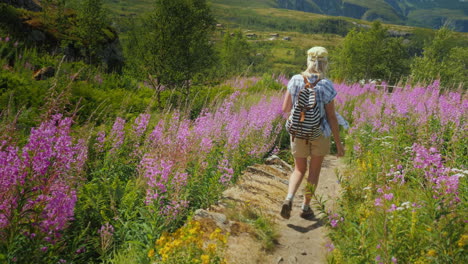 a woman with a backpack walks along a picturesque path among the flowers of willow-tea summer in nor