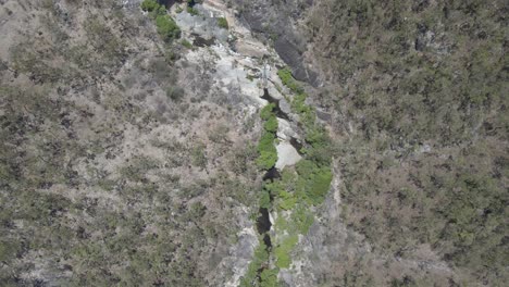 Davies-Creek-Fließt-Durch-Bäume-Im-Regenwald