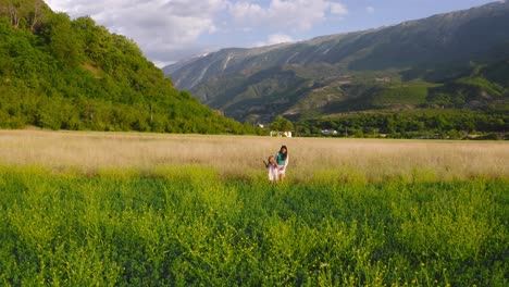 mother and daughter stroll along beautiful flowering field in permet valley, albania