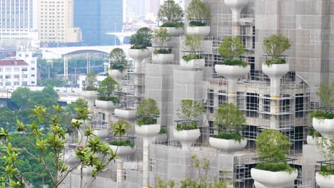 aerial establishing shot of the flourishing trees on the 1000 trees shopping center