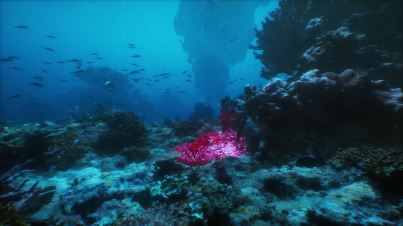impresionante vista bajo el agua de un vibrante arrecife de coral