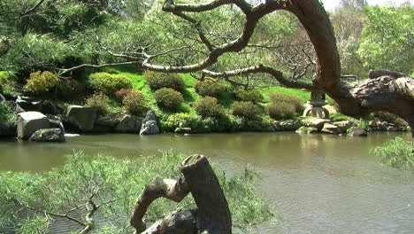 brazos de cámara de derecha a izquierda en un jardín japonés con estanque, linterna de piedra y cascada