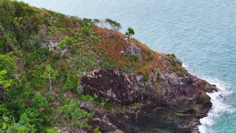 drone camera glides above a rugged headland with lush rainforest, rocky cliffs, and turquoise sea under soft daylight, capturing sweeping coastal scenery