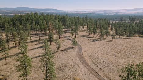 Vista-Aérea-Siguiendo-La-Motocicleta-Por-La-Carretera-De-Servicio-Forestal-Remota