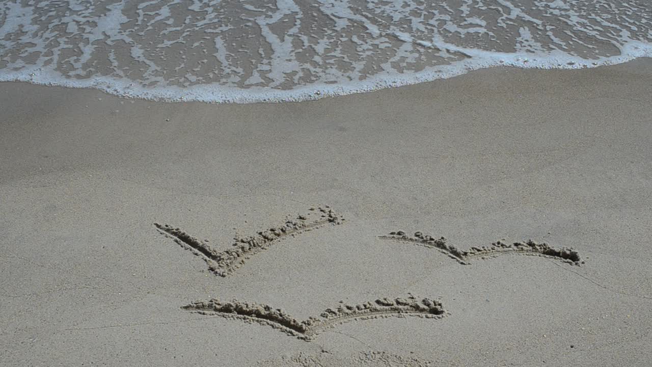 Disegno di gabbiani sulla sabbia. Riprese in spiaggia.