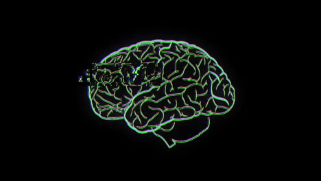 brain on black background