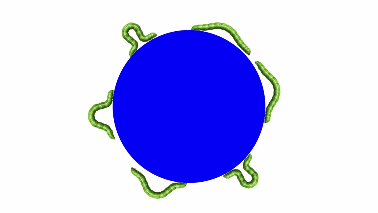 las orugas en el círculo azul, animación en 3d en bucle