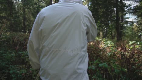 person hiking in a forest