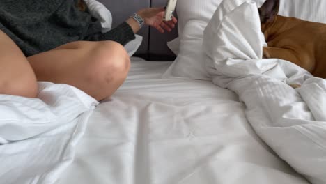그녀는 베개에 누워있는 그녀의 강아지의 핸드폰으로 사진을 찍는 동안 상자 스프링의 침대에 그녀의 다리를 가진 여자