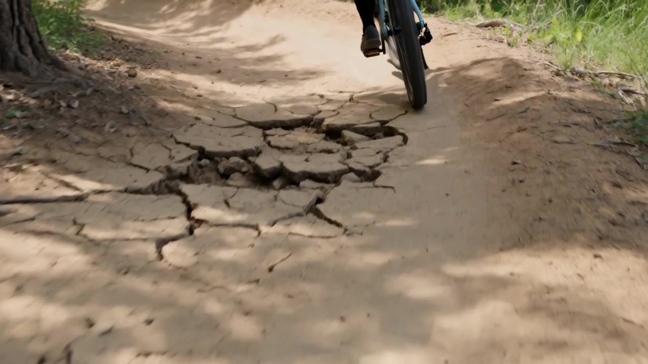 Un ciclista in mountain bike pedala su un sentiero sterrato nel bosco, avvicinandosi a un tratto sconnesso, indossando pantaloncini scuri.