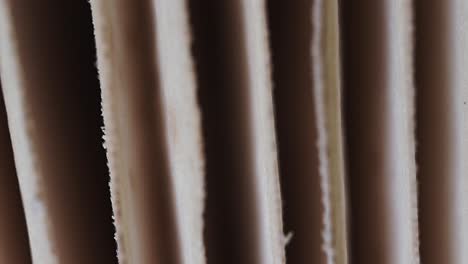 macro detail of dusty curtain drapes, handheld closeup, interior