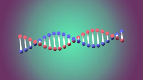 Animación-De-La-Estructura-Del-ADN-Girando-Sobre-Un-Fondo-Degradado-Púrpura