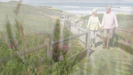 composite video of tall tress against caucasian senior couple holding hands walking on the bridge