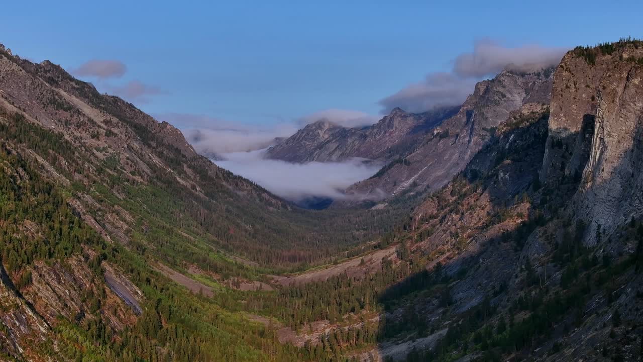 Ampia vista sul Blodgett Canyon con pareti granitiche e foresta alpina, Montana.