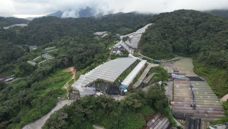 general landscape view of the brinchang district within the cameron highlands area of malaysia