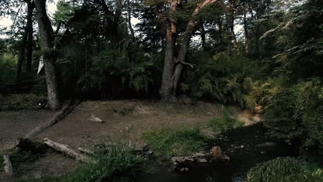 Flow-of-a-river-in-the-Andes-mountain-around-the-valley-of-Las-Trancas-near-the-Chillan-hot-springs-in-Chile,-very-green-scenery-with-lots-of-nature-around