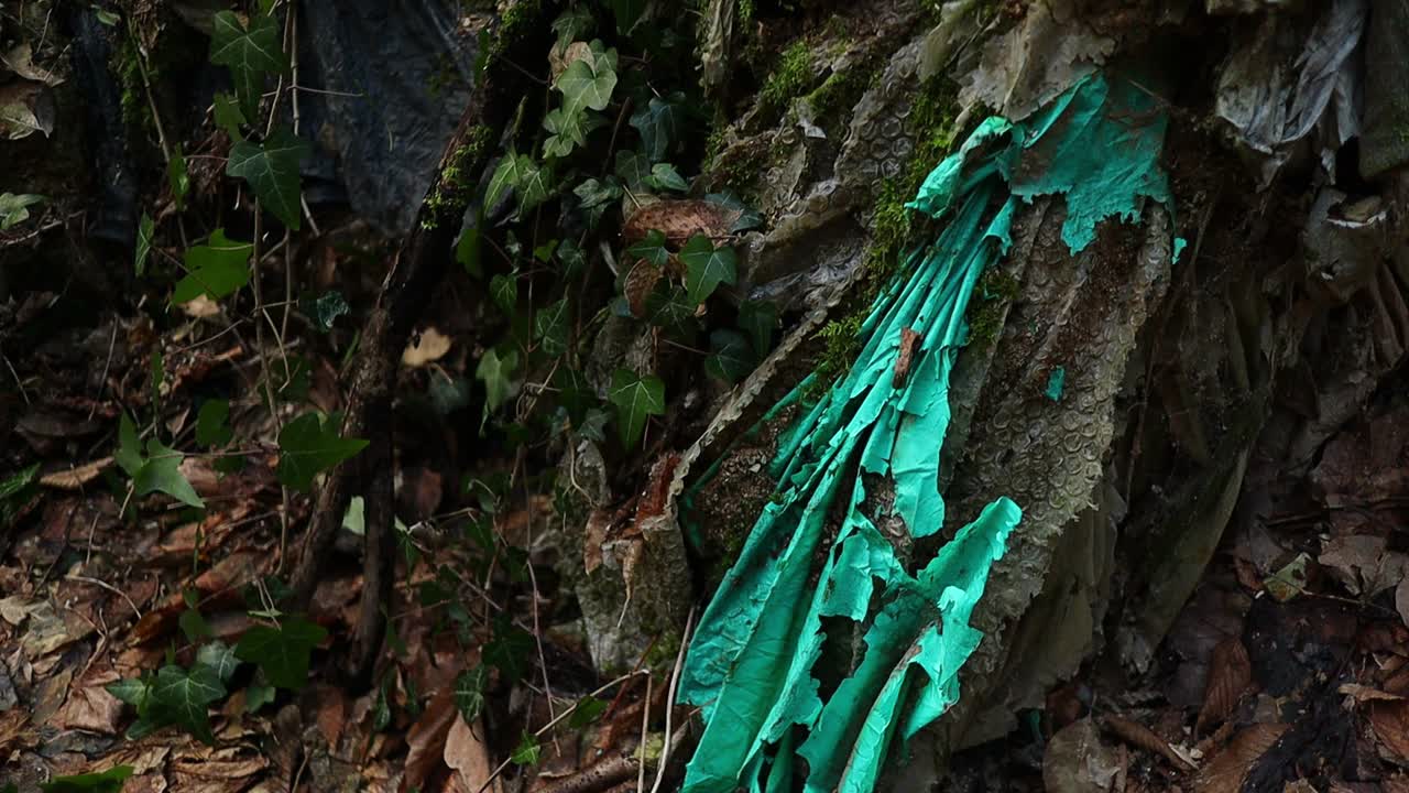 telas de colores viejos y plástico abandonados en el bosque, contaminación ambiental, primer plano de arriba a abajo