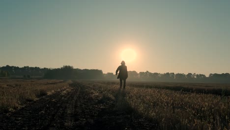 a man walks through a burned field at sunrise and sunset. silhouette