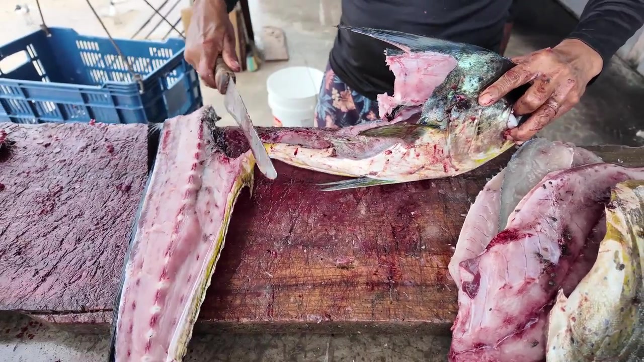 Close-up of a fisherman's hands filleting a fresh raw dolphinfish with a long knife on a wooden workbench in Los Roques, Venezuela
