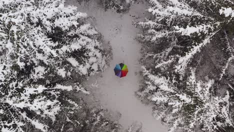 drone top down shot at a colorful, circling rainbow umbrella in a white winter forest with framing white tree tops