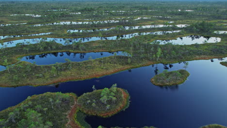 a large body of water surrounded by lots of trees