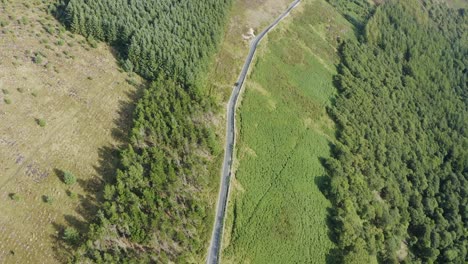 ウィックロー山脈に沿った緑の森の道を走る黒い車のトップビュー-1