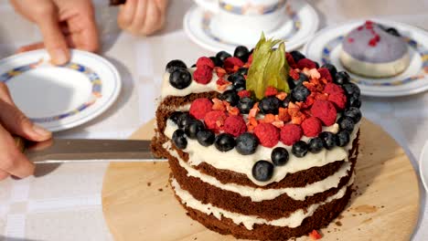 woman slices piece of birthday homemade chocolate cake and puts it on plate, hands closeup.