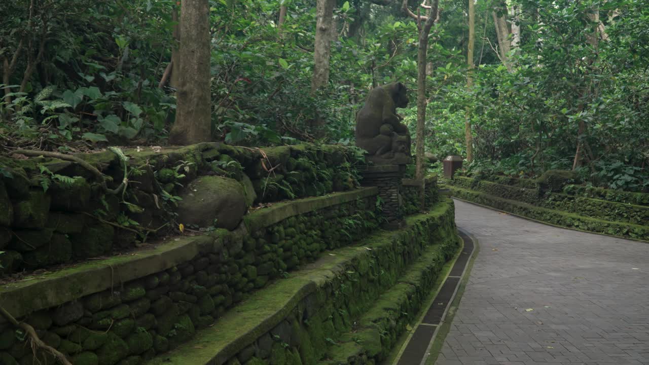 Moss-covered stone benches and statues leading up through Ubud Monkey Forest, Bali, surrounded by dense greenery and jungle plants, pan right