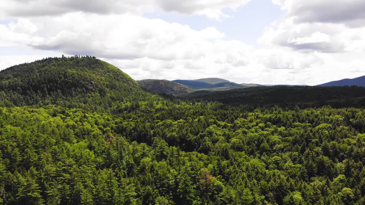 fotografía aérea de la línea de árboles en maine, estados unidos