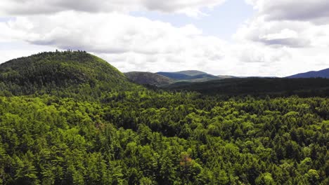 overhead shot of the treeline in maine usa