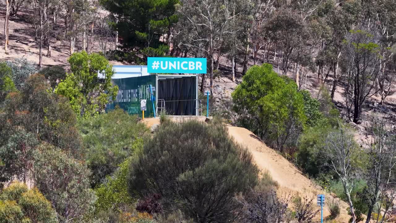 Plano general estático de un sendero de tierra para bicicletas de montaña cuesta abajo a través de una zona de eucaliptos australianos